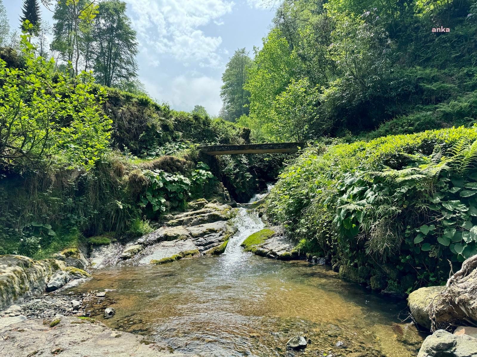 Kırmızı Su